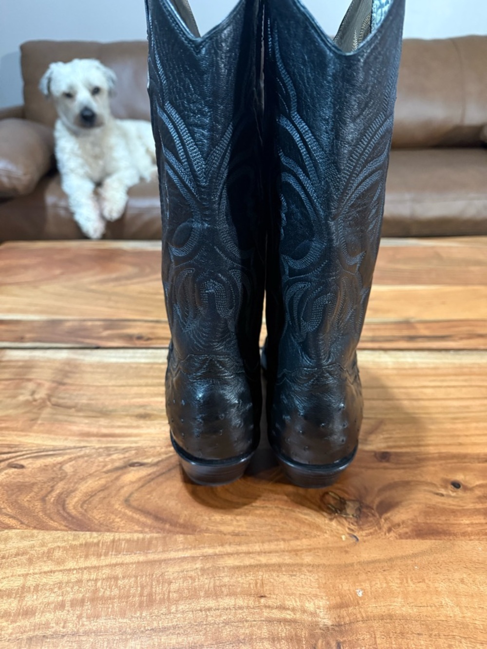 Full Quill Ostrich by Max Leather, Western Cowboy Boots Men’s Size 9-1/2 D EUC - Picture 4 of 11